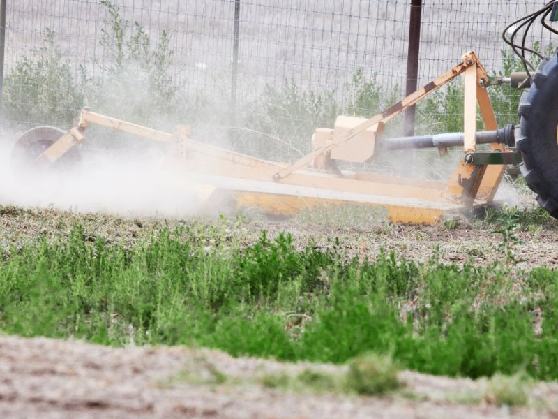 bush hogging services