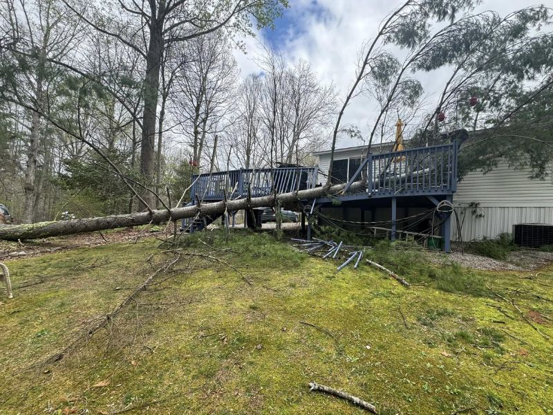 Tree services in Alexander County NC near a residential home