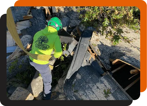 emergency tree services