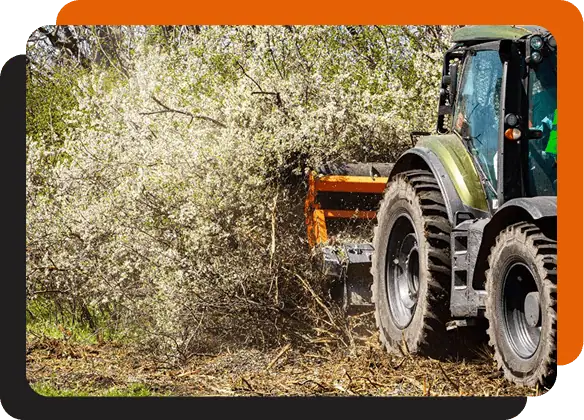 expert bush hogging in Alexander County