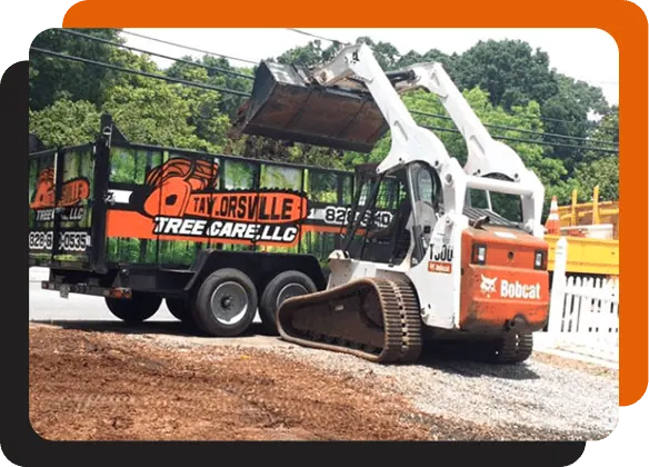 Taylorsville Tree Service hauling away debris