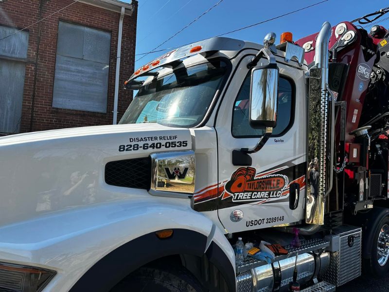 taylorsville tree care company truck