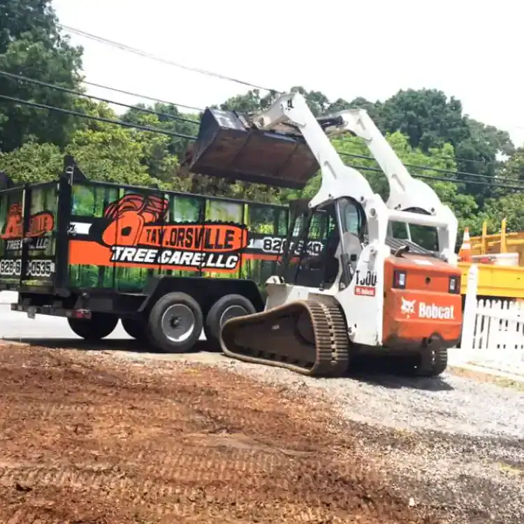 Leading Tree Service in Sherrills Ford | Get a Quote